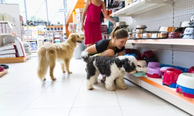 Pet Store Salesperson Job In Canada